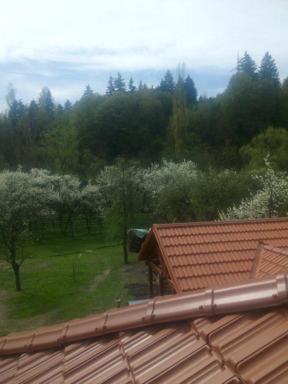 ホテル Casa Bunicii モイセイ エクステリア 写真