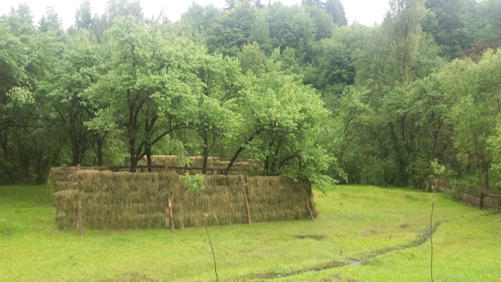 ホテル Casa Bunicii モイセイ エクステリア 写真