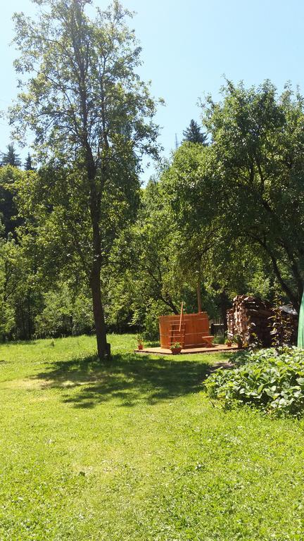 ホテル Casa Bunicii モイセイ エクステリア 写真