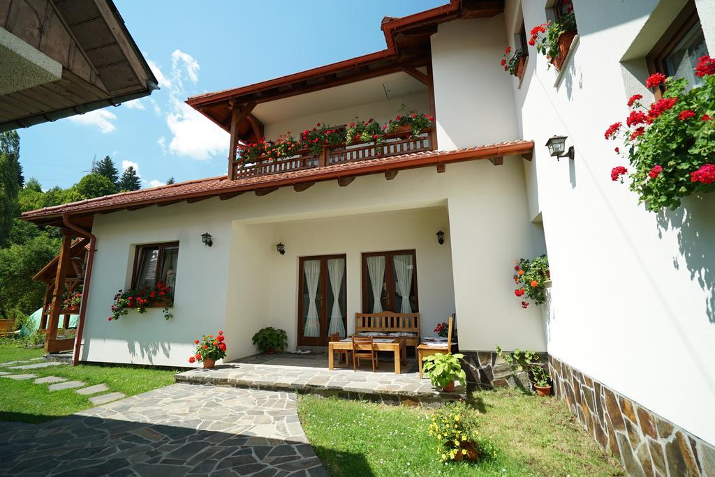 ホテル Casa Bunicii モイセイ エクステリア 写真