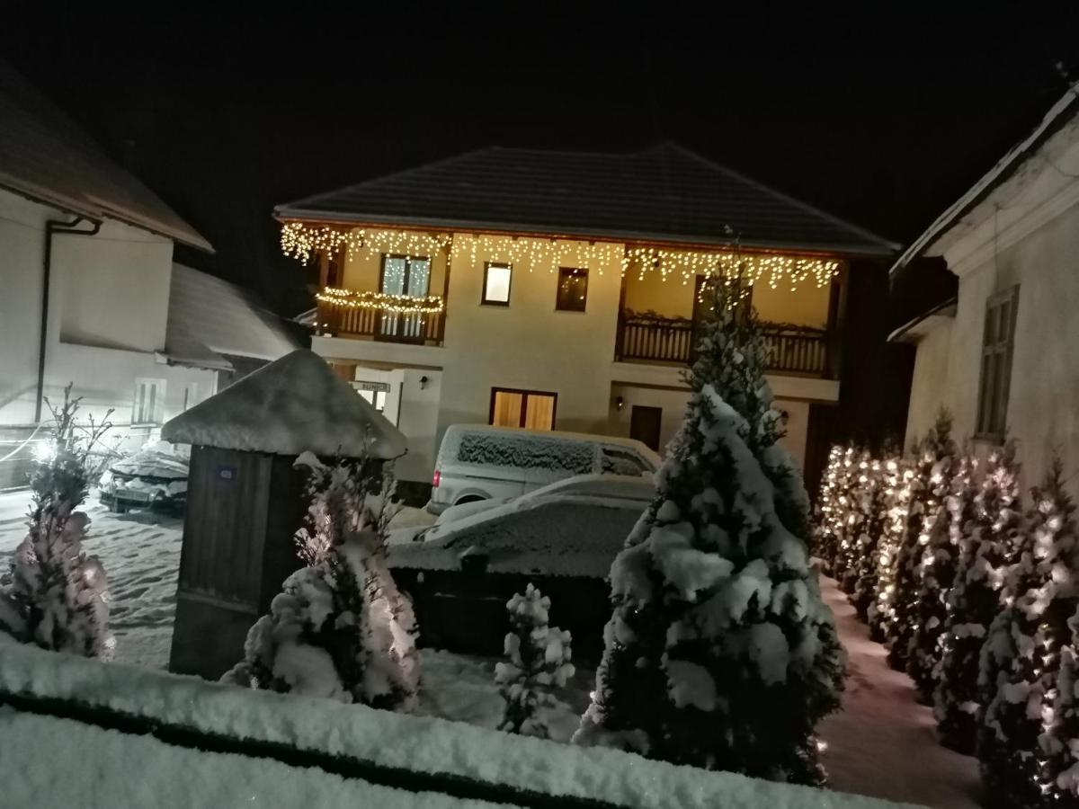 ホテル Casa Bunicii モイセイ エクステリア 写真